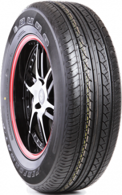 DP3100 Performa T/P Tires